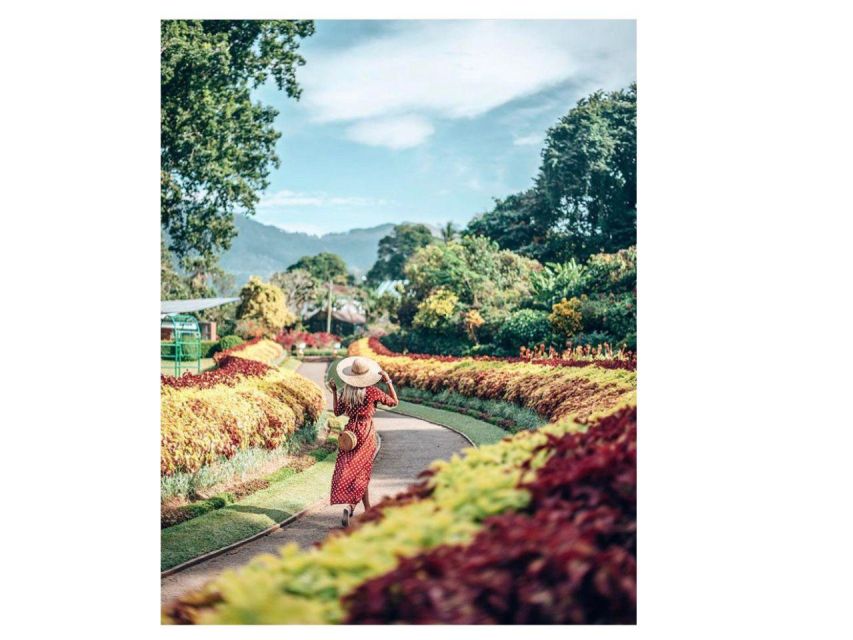 Kandy Private Guided City Day Tour by Local Tuk Tuk - Hilltop views at Bahirawakanda and Kandy View Point