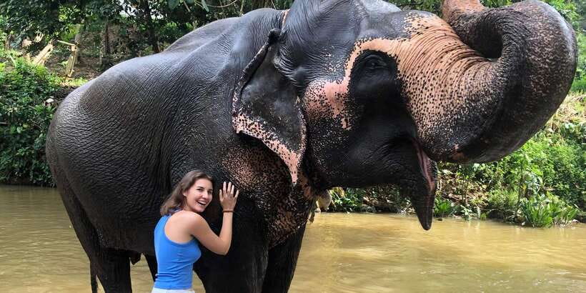 Kandy privet day tour with pinnawala and Tea plantation - Key points to know before booking