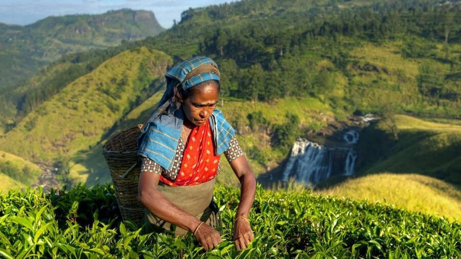 Kandy: Shanthipura and Nuwara Eliya - Who should book this Central Province route?