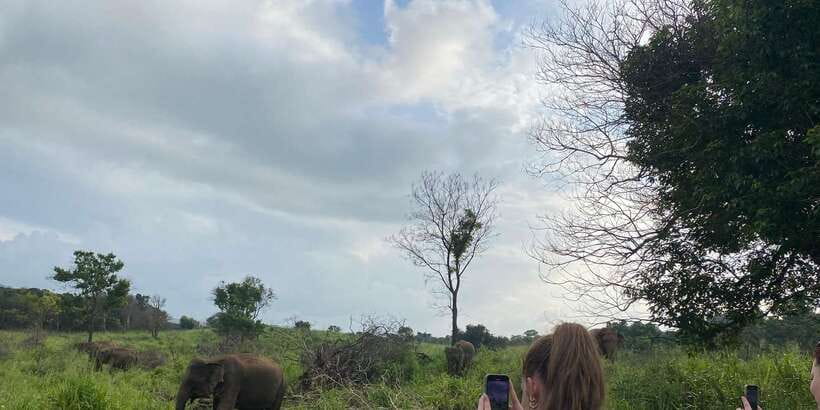Kandy: Sigiriya, Dambulla & Wildlife Safari Private Tour - Matale Temple and the spice garden on the way back