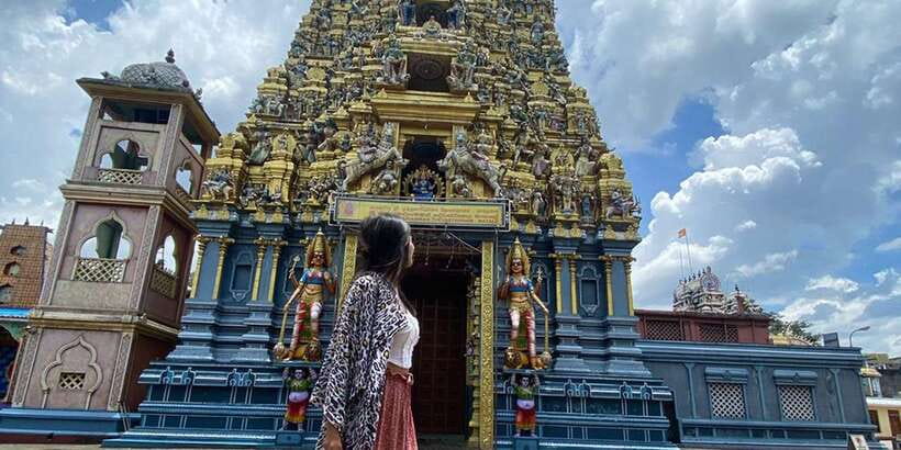 Kandy: Sigiriya, Dambulla & Wildlife Safari Private Tour - Transport, drivers, and the private format