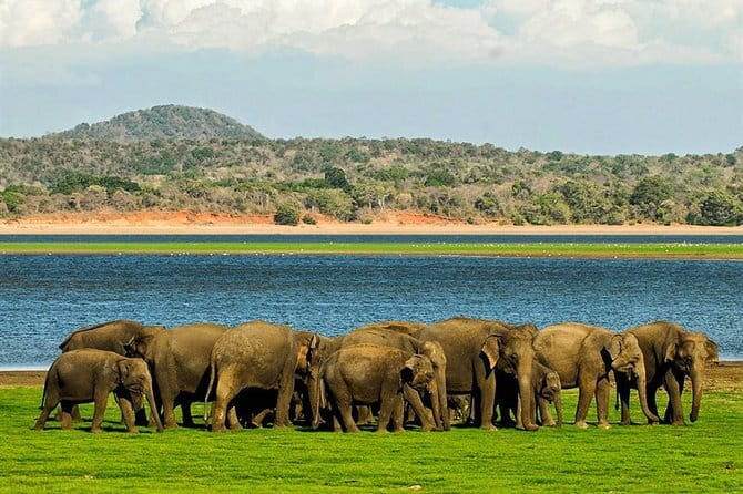 Kandy Sigiriya Rock and Village Safari Day Trip - Booking details worth knowing