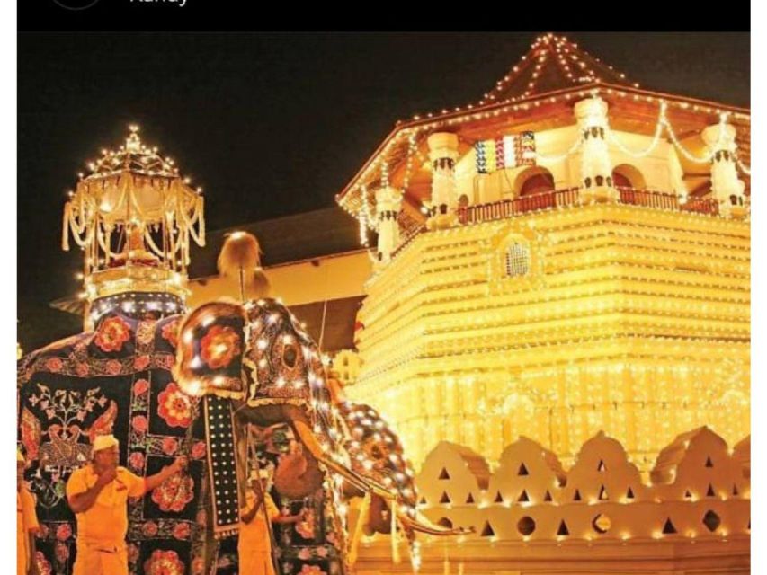 Kandy to Ambuluwawa & Kandy City Guided Tuk Tuk Day Tour - Bahirawakanda and Asgiri offer Kandy from above