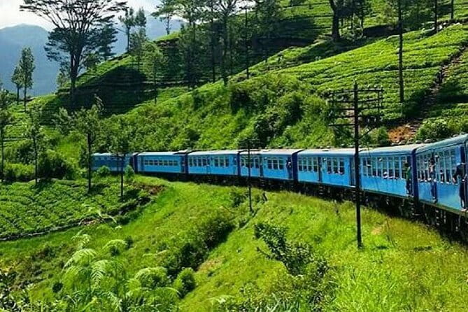 Kandy to Nanu Oya train ride on (Train No: 1005 "Podi Menike") - Why the Kandy to Nanu Oya train is worth your morning