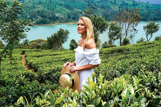 Kandy to Nuwara Eliya Day Tour - What the private driver-guide adds
