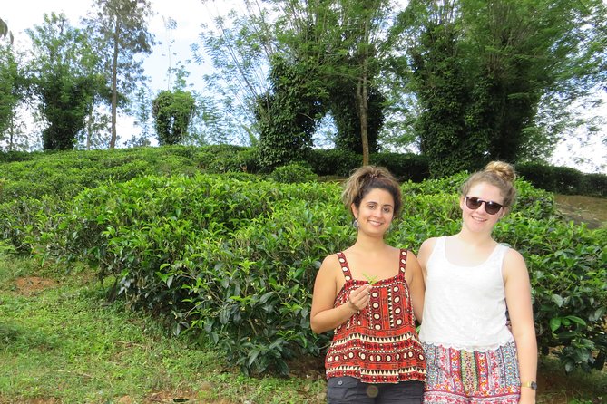Kandy to Nuwara Eliya Day Trip – Little England & Tea Country - Arriving in Nuwara Eliya and Gregory Lake
