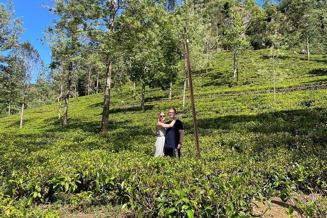 Kandy to Nuwara Eliya Day Trip – Little England & Tea Country - Victoria Park and the Nuwara Eliya Racecourse