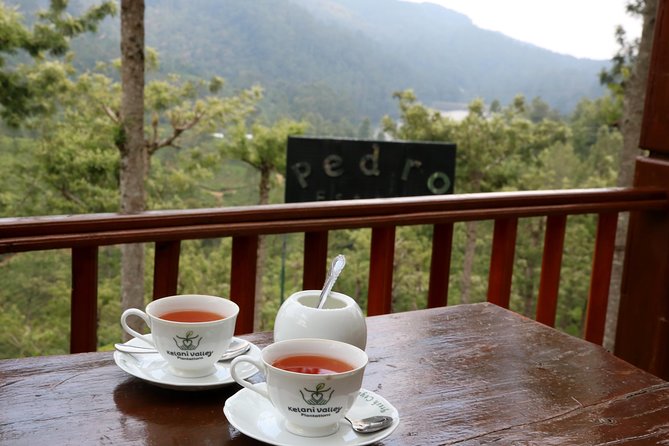 Kandy to Nuwara Eliya Day Trip – Little England & Tea Country - Is $30 per person good value?