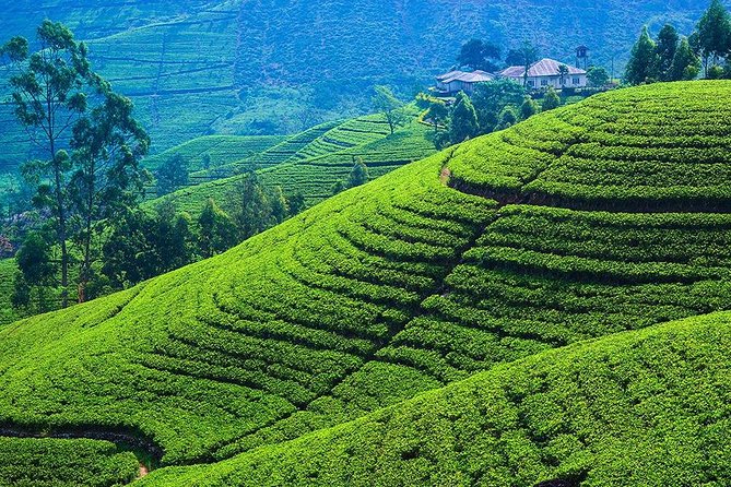 Kandy to Nuwara Eliya Private Day Tour - Ramboda Waterfall beside the mountain road