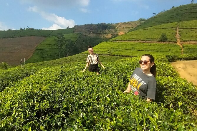 Kandy to Nuwara Eliya Private Day Tour: Tea Factory& Gregory Lake - Key points before you book