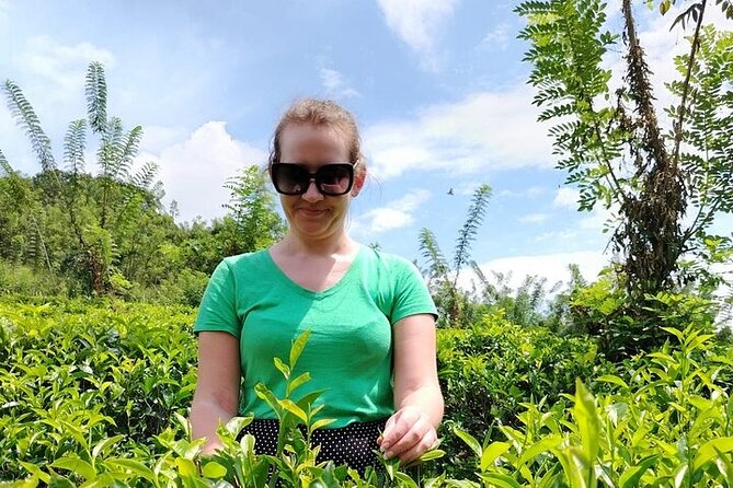 Kandy to Nuwara Eliya Private Day Tour: Tea Factory& Gregory Lake - The climb from Kandy into tea country