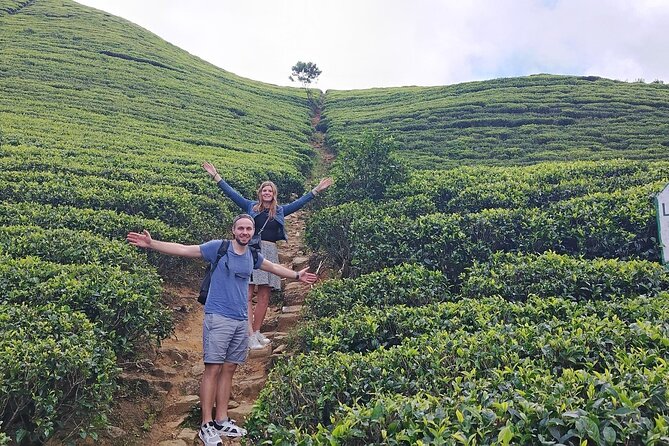 Kandy to Nuwara Eliya Private Day Tour: Tea Factory& Gregory Lake - Nuwara Eliya Post Office and the town’s colonial face