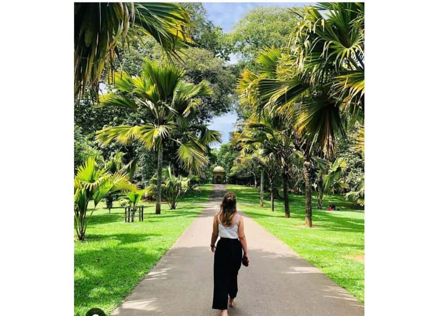 Kandy to Pinnawala Orphanage and Ambuluwawa Guided Day Tours - Mahaweli River and Kandy’s high viewpoints
