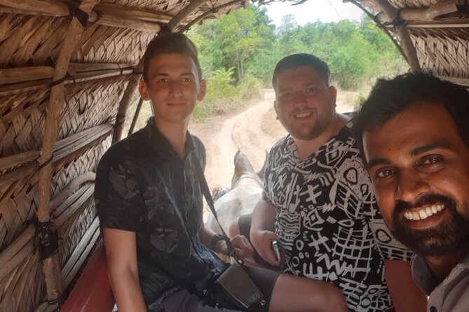 Kandy to Sigiriya and Dambulla Private Day Tour - Sigiriya: the day’s major sight