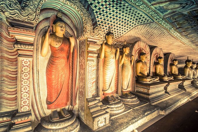 Kandy to Sigiriya and Dambulla Safari Day Tour - The schedule is ambitious, so ask these questions first