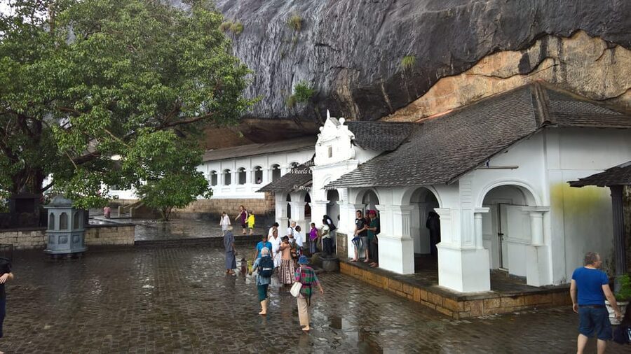 Kandy To Sigiriya Day Tour With Minneriya Safari - Minneriya National Park and the extra-cost safari