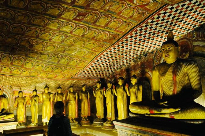 Kandy to Sigiriya Day Trip - What the $30 price really covers