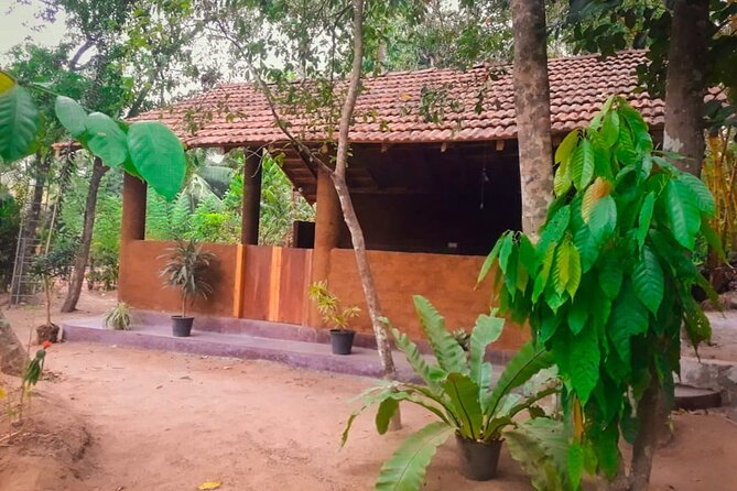 Kandy Village Cooking Class - At a glance: five useful things to know