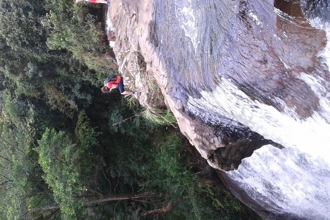 kandy waterfalls day tour - Who Should Book This Waterfall Day?