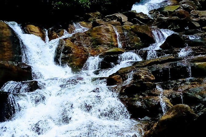 Kanneliya Rain Forest Tour - Kanneliya Rain Forest Tour at a glance