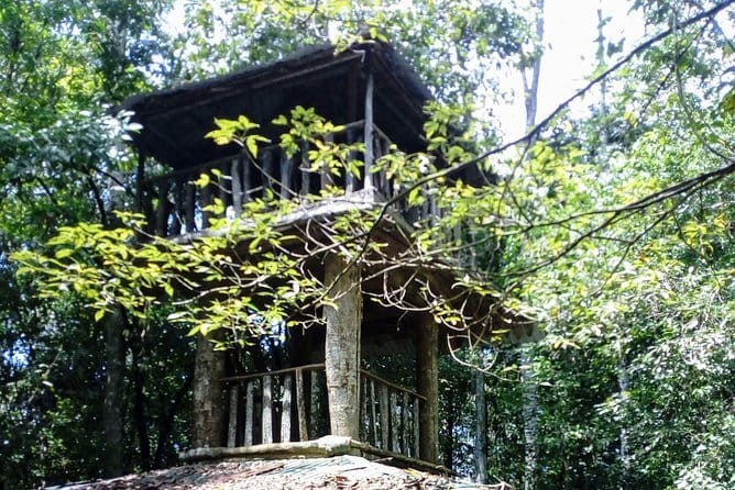 Kanneliya Rain Forest Tour - Why Kanneliya is worth a day away from the coast
