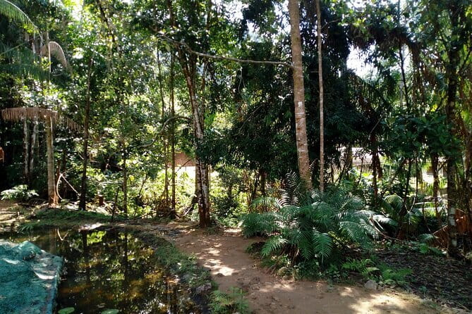 Kanneliya Rain Forest Tour - Waterfalls and a natural river swim
