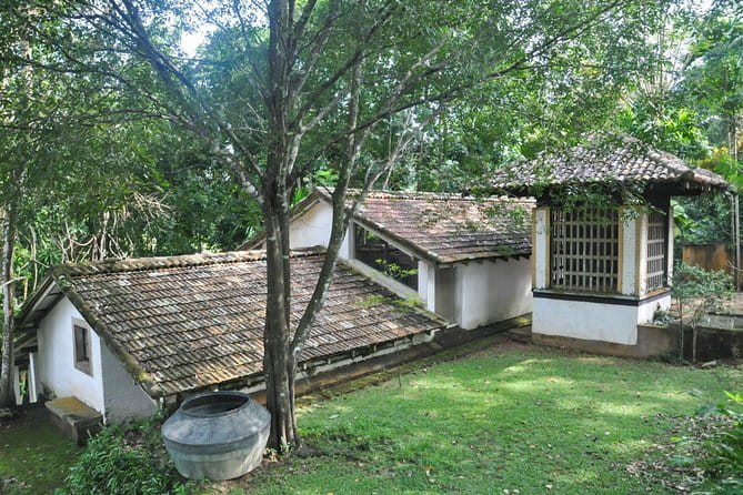 Kanneliya Rain Forest Tour - Who will enjoy this forest day