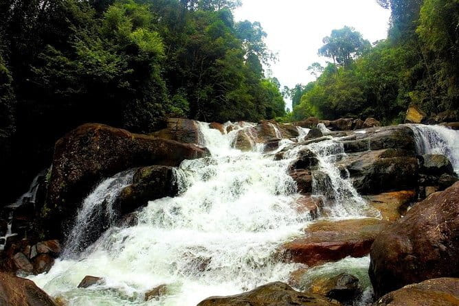 Kanneliya Rain Forest Tour - An 8:00 am pickup along the southern coast