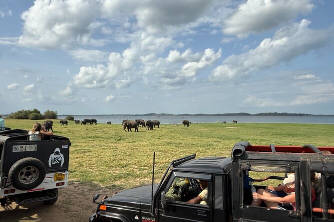 Kaudulla National Park Safari [private , full package] - Afternoon or morning: choose with a purpose