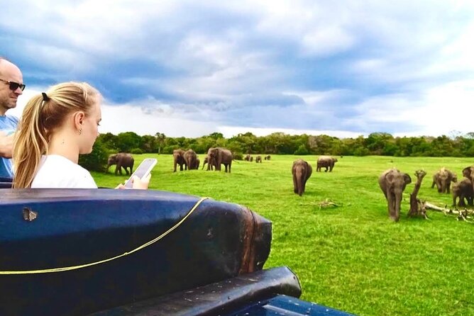 Kaudulla Safari Adventure - Key points to know before you book