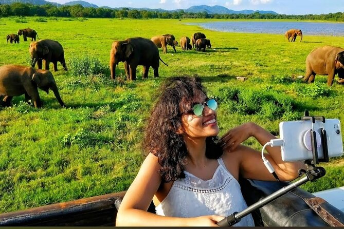 Kaudulla Safari Adventure - Wildlife beyond the elephant herds