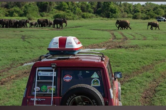 Kaudulla Safari Adventure - Group size and comfort