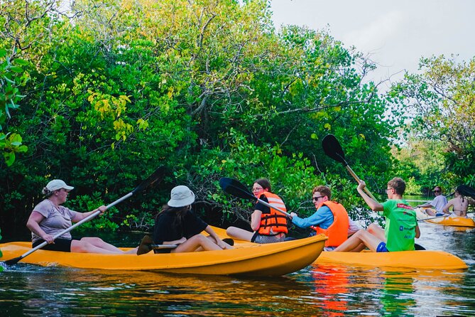 Kayaking Adventure on serene waters through mangroves, Akurala - Is $15 good value for Hikkaduwa?