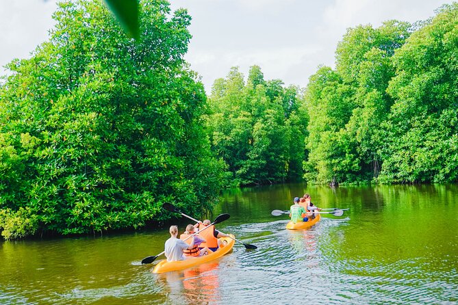 Kayaking Adventure on serene waters through mangroves, Akurala - What to know before booking