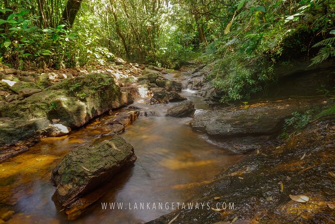 Knuckles Mountain Hiking - The guide makes a real difference