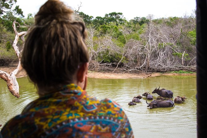 Kumana National Park Half Day Jeep Safari - Booking, cancellation, and practical details
