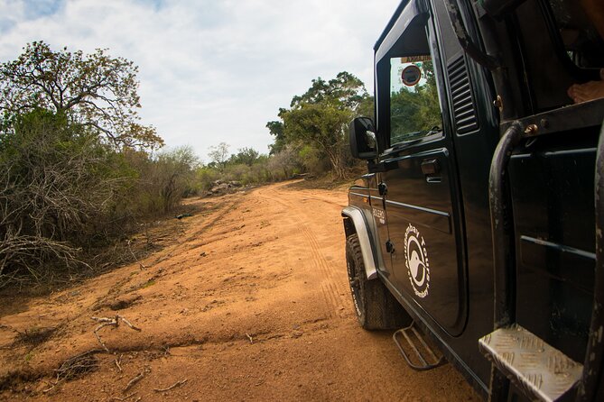 Kumana National Park Half Day Jeep Safari - The four-hour jeep safari inside the park