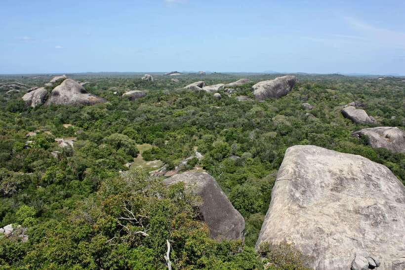 Kumana National Park : Morning or Afternoon Safari Tour - Is $47 good value?