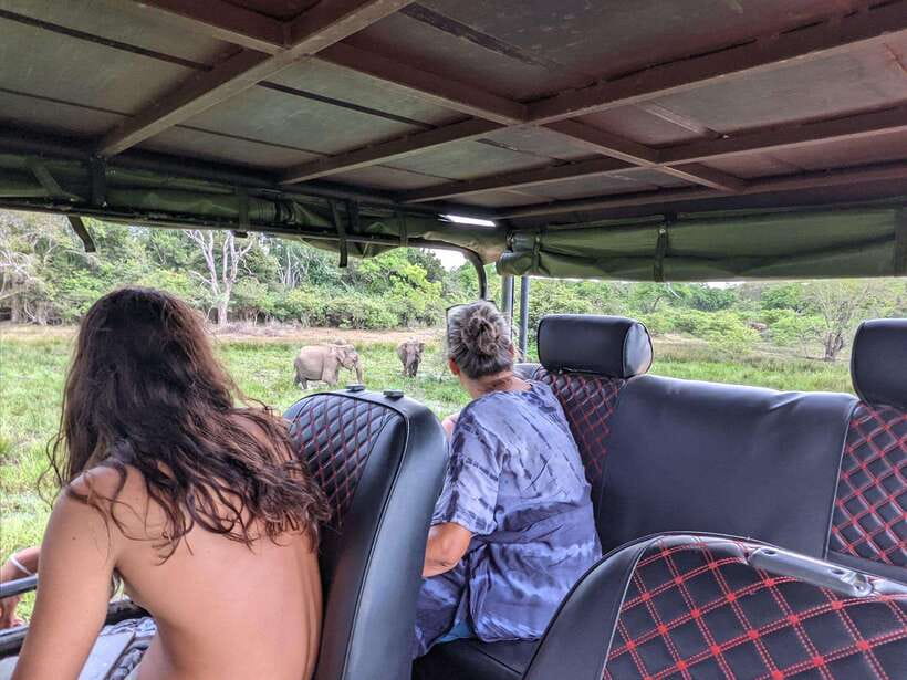 Kumana National Park : Morning or Afternoon Safari Tour - Who will enjoy this safari most?