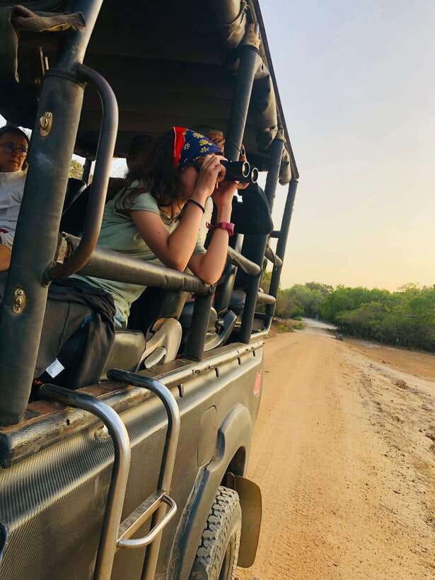 Kumana National Park : Private Half-Day Jeep Safari - Final verdict: a strong safari with a few checks