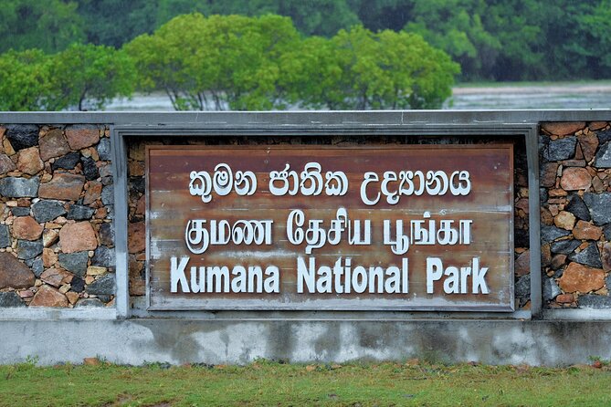 Kumana National Park Safari | from Arugam Bay - Birdwatching in Kumana’s wetland country