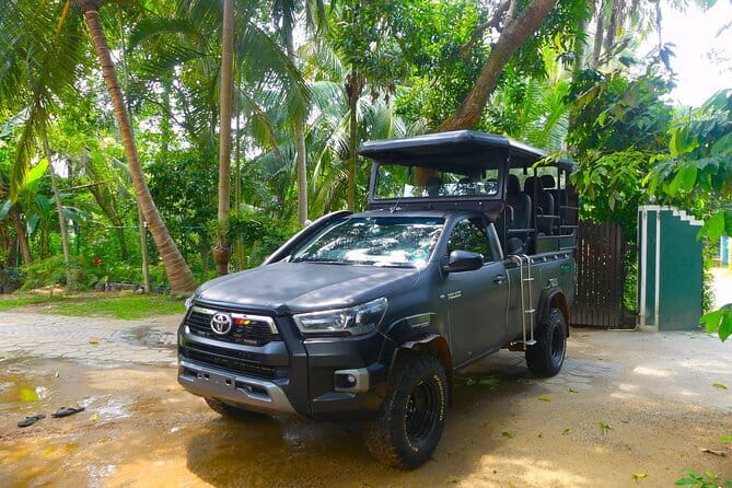 Leopard Half Day Yala National Park Eleven Safari - Is $80 good value for four hours?