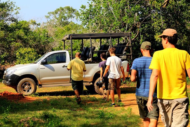 Leopard Safari Tour in Yala National Park - Guide quality matters more than the $20 headline price