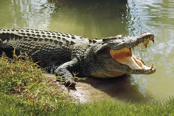 Lunugamwehera (Weheragala Entrance) National Park - Ajith Safari - Key points to know before booking