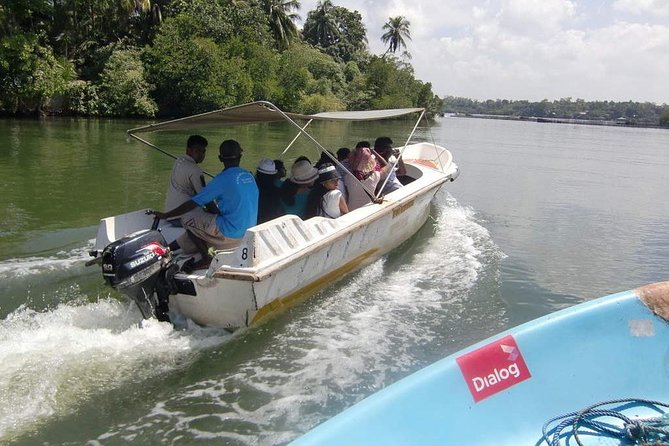 Madu River Boat Safari Balapitiya - Key points to know before booking