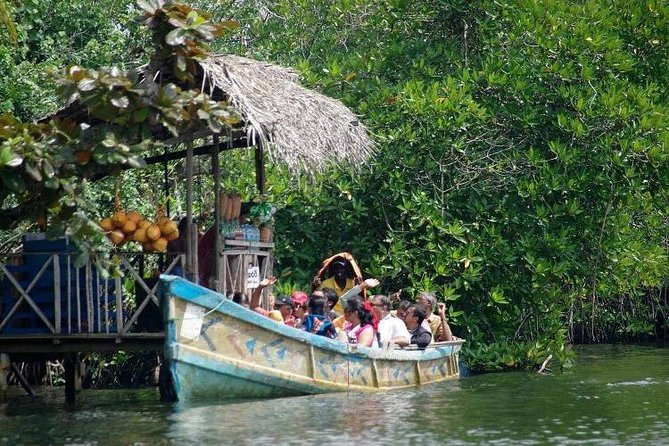 Madu River Boat Safari Balapitiya - A short cruise with more than scenery