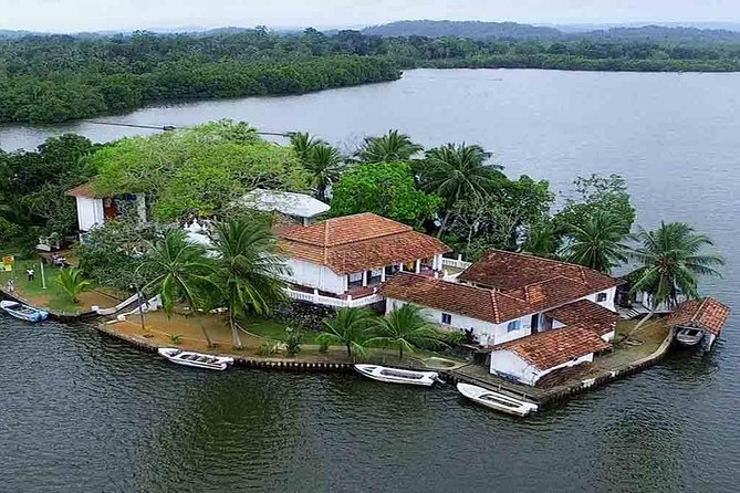 Madu River Boat Safari Balapitiya - Mangroves, reptiles, monkeys, and birds