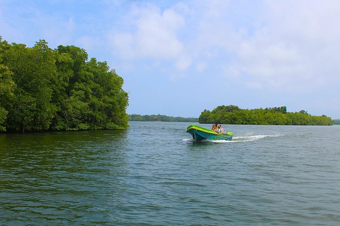 Madu River Boat Safari Balapitiya - The fish foot massage pond