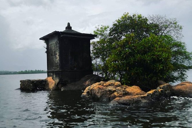 Madu River Boat Safari Balapitiya - Shared boat, group size, and comfort