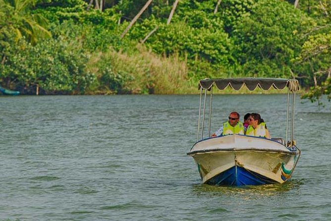 Madu River Safari at Balapitiya - What the Madu River safari is really about